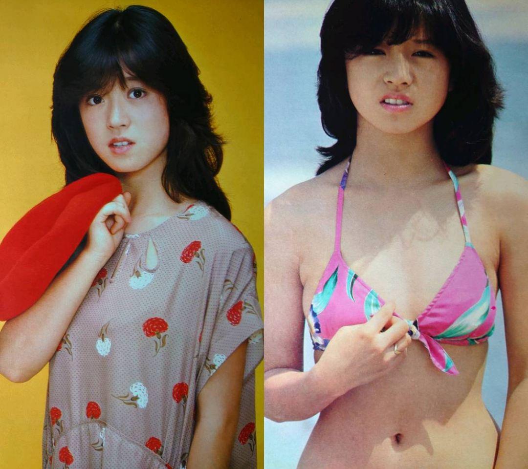 中森明菜　1982年〜1986年 大量　切り抜き　ファイル　2冊　120P