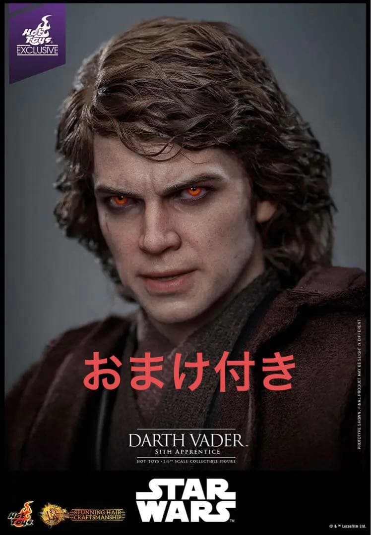 ホットトイズ　アナキン　ダース・ベイダー　HOT TOYS SWCJ アルチザン