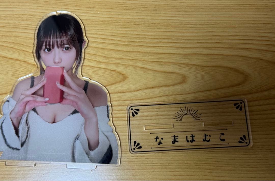 数量限定 なまはむこ写真集＆限定非売品セット