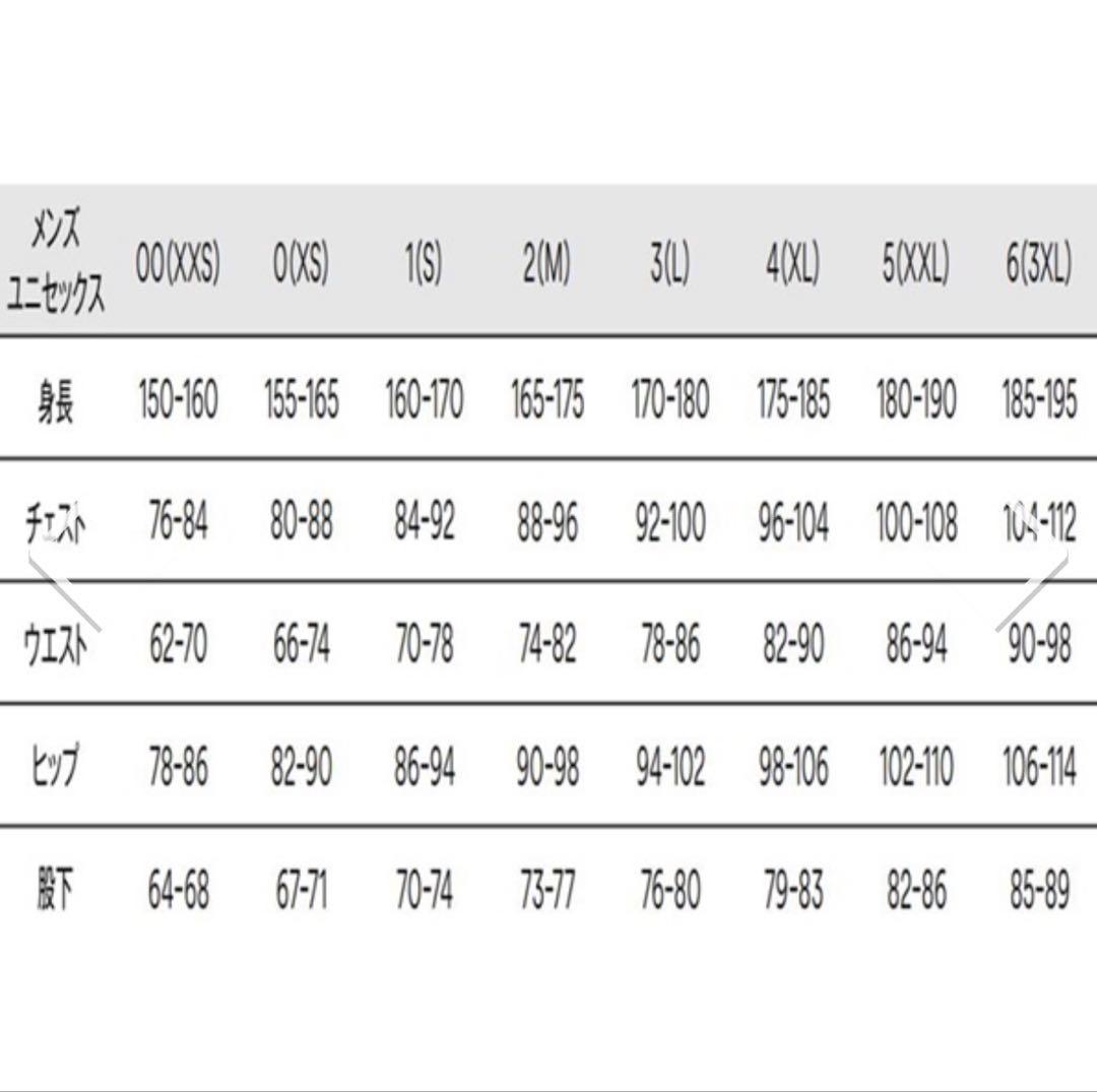 GOLDWIN ゴールドウィン スキーレーシングハーフパンツ サイズ1 BK