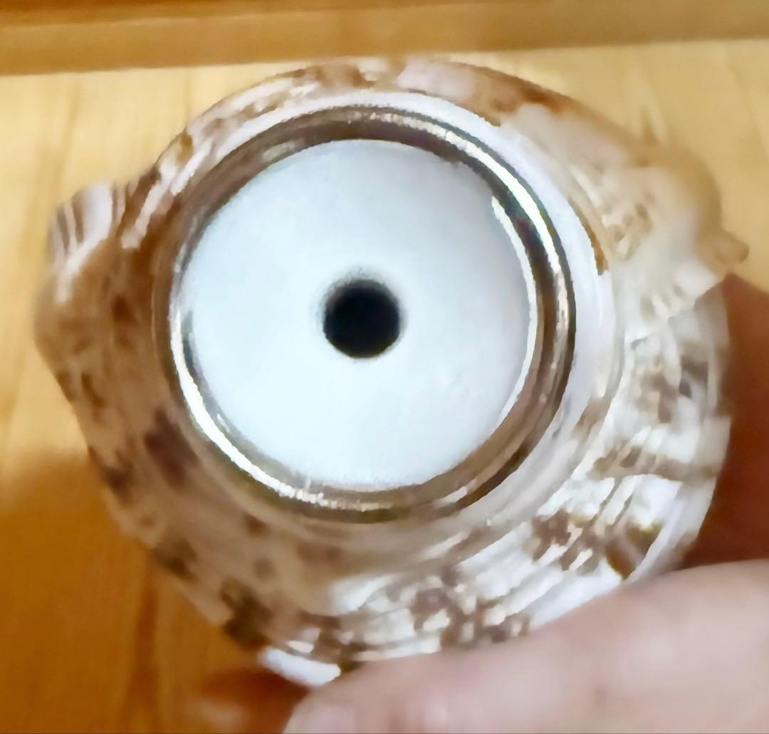 コンパクト肉厚修験道法螺貝　山伏　密教　熊よけ　魔除け❣️ホラガイ　ほら貝