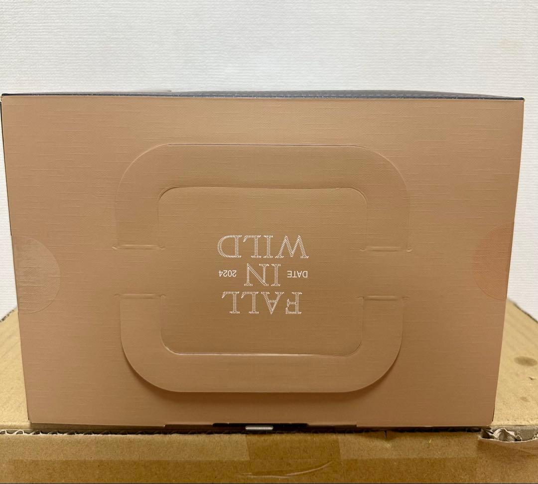 【ラブブfall in wild pop mart特大サイズ】