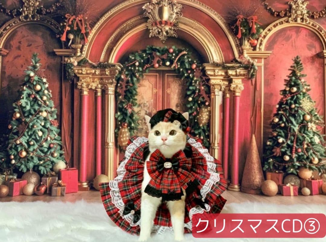 背景布×15枚+3　ペット撮影用フォトブース　トリミングチョーカー販売中