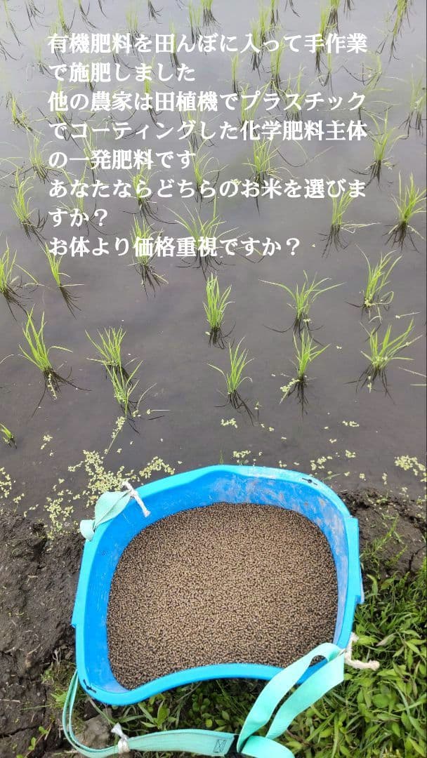 手取り除草は全国で１人だけ ７年産コシヒカリ 元気な玄米10kg農薬等不使用