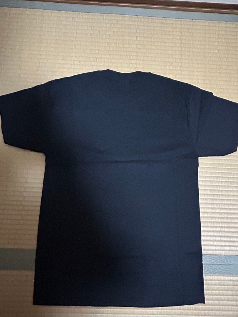 ヴィンテージ　ジョニーサンダース　Ｔシャツ　黒色　ヘインズタグ　パンク