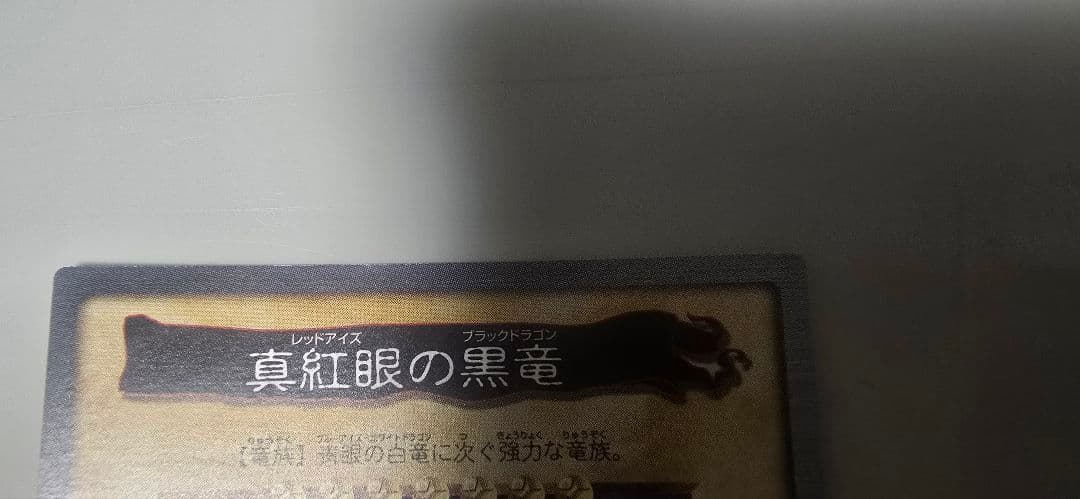 遊戯王カードセット 青眼の白龍 真紅眼の黒竜