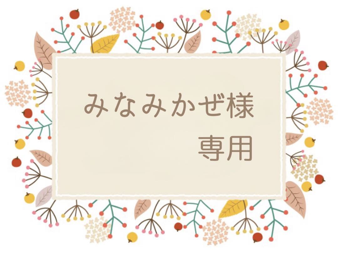 《みなみかぜさま専用》【太秋柿】３キロ箱8個入1箱　７個入2箱