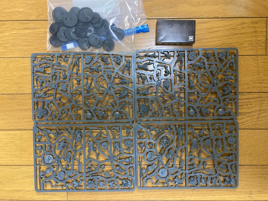 ミニチュア一部抜き取り済み　Warhammer Quest ダークウォーター