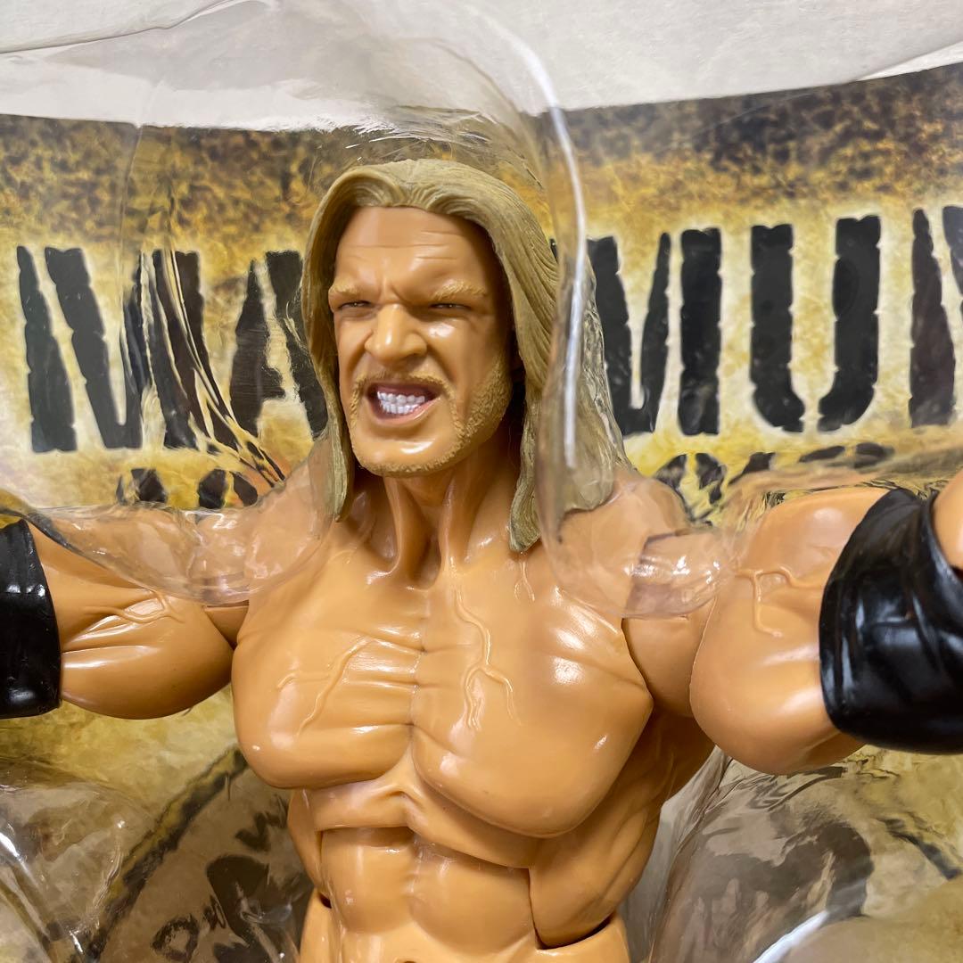 マキシマムアグレッション　トリプルH プロレス　フィギュア　12インチ