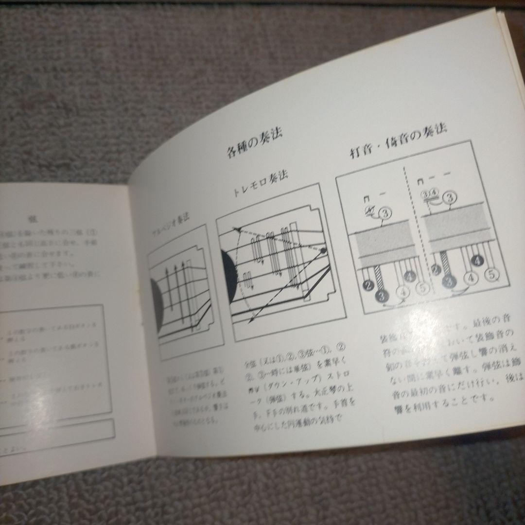 昭和レトロ 琴 ケース付き ピーコックハープ 人力車 花柄 大正琴 和楽器