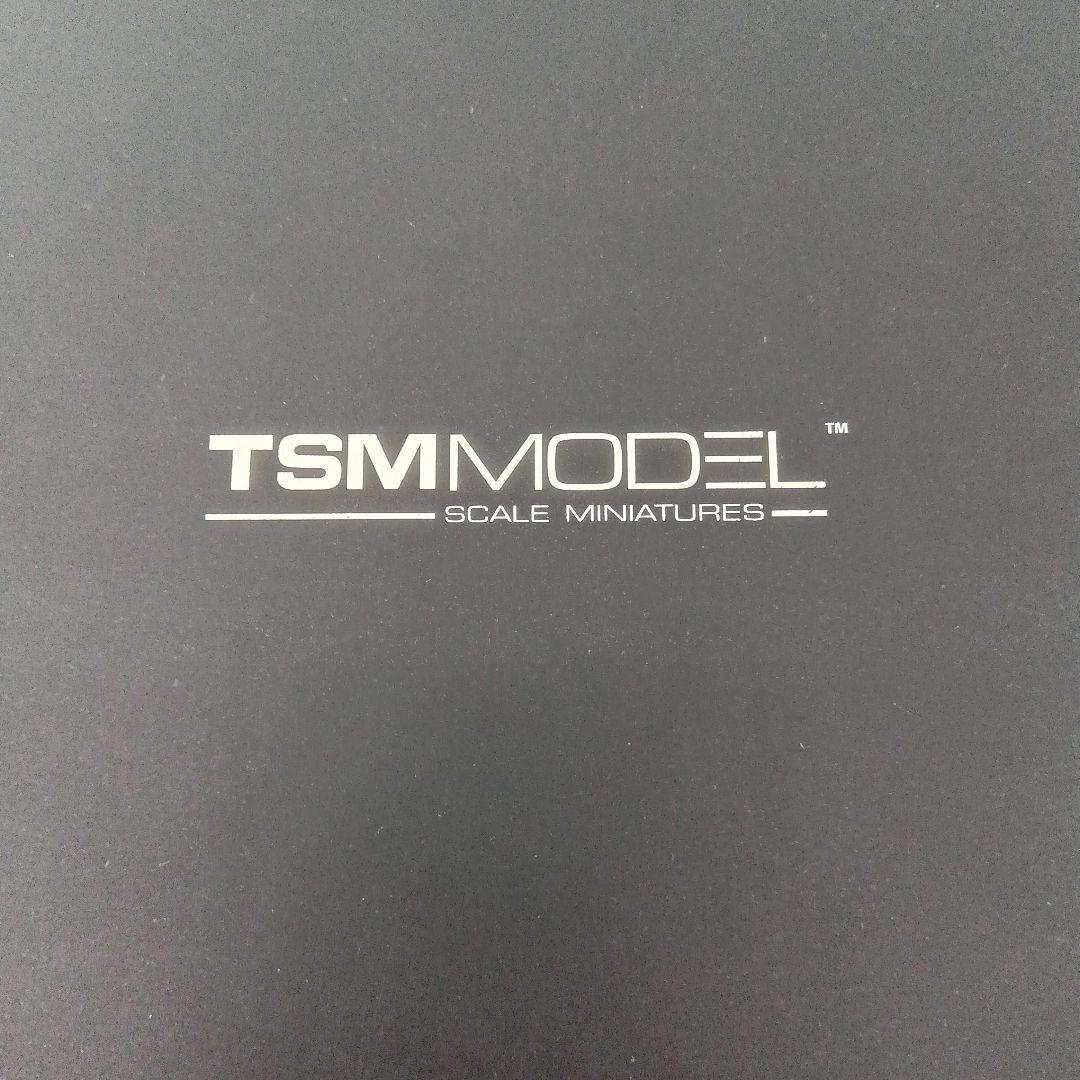 TSM マクラーレン P1 2012 京商 スーパーカー 1/18 レア 廃番