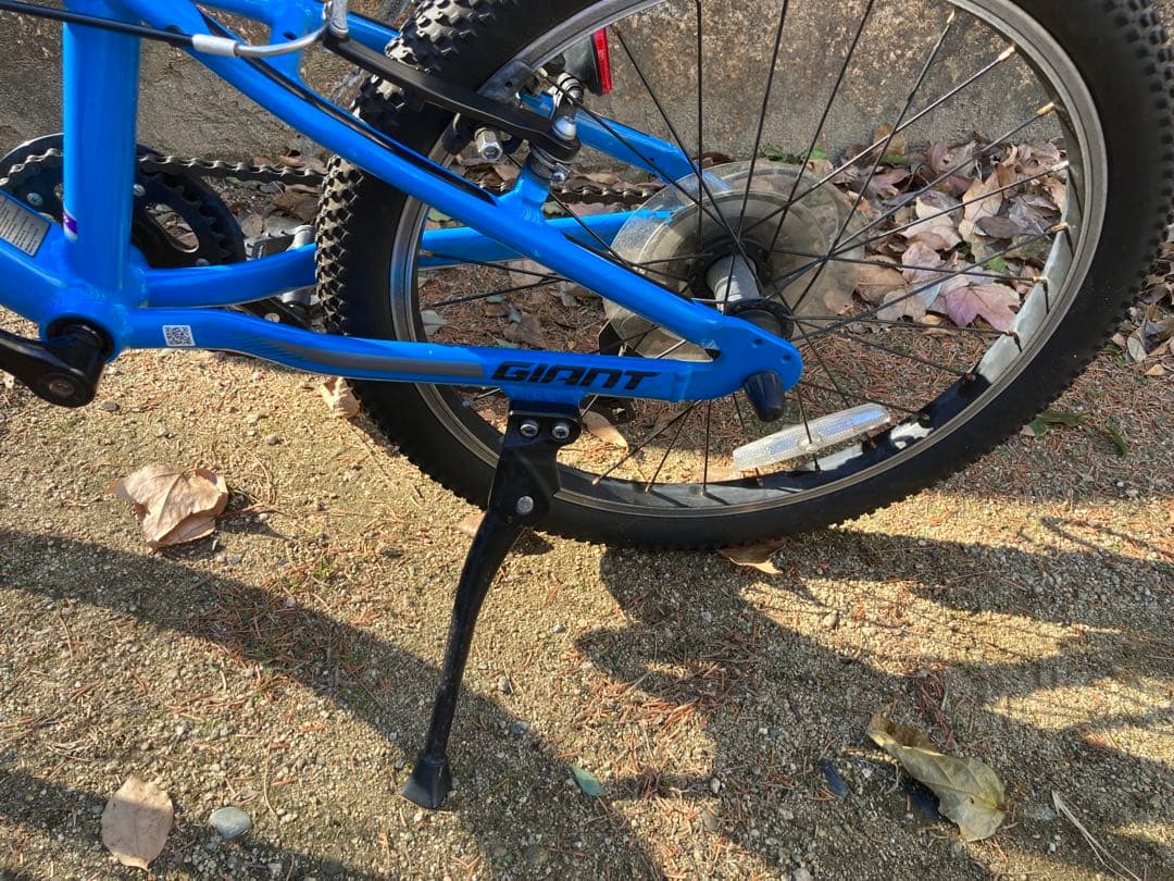 【bridgeworks】Giantキッズバイク　20インチ