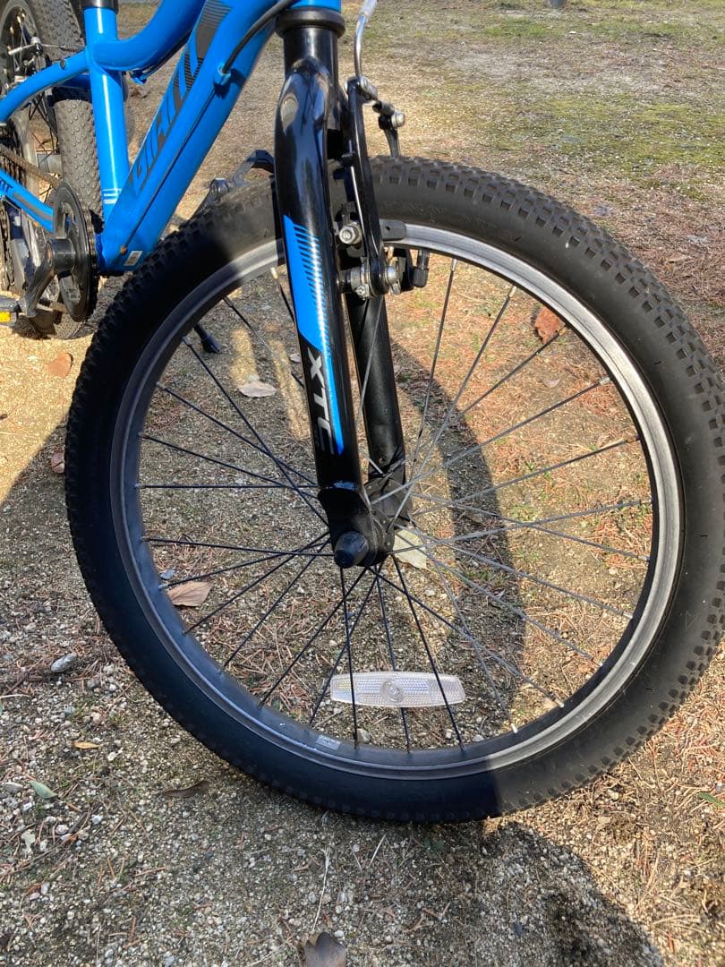 【bridgeworks】Giantキッズバイク　20インチ