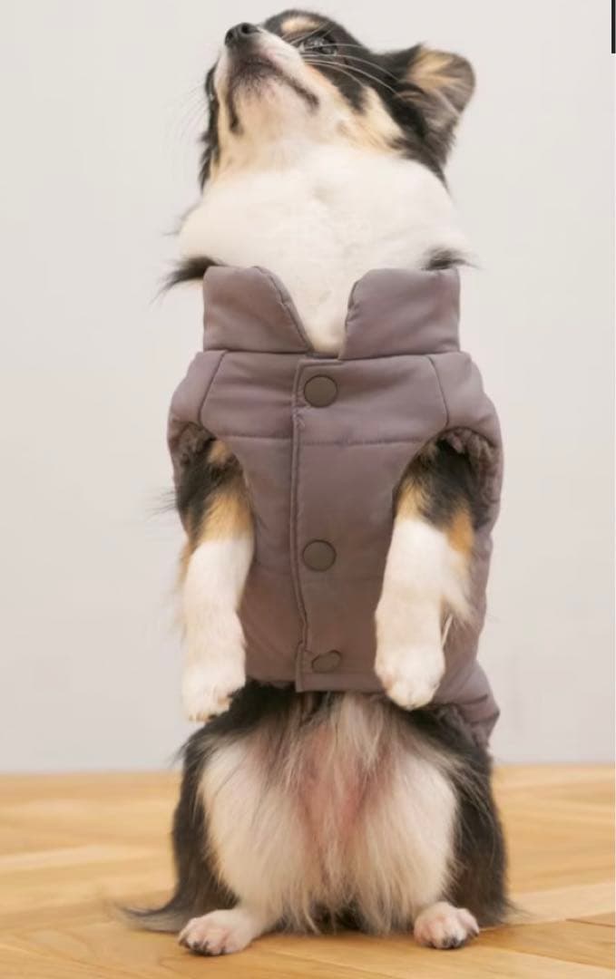 GELATO PIQUE 中綿ベスト　犬服 グレー　Mクリスマス　ショッパー