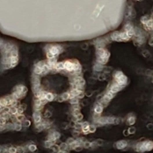 永楽通寳　ノム楽