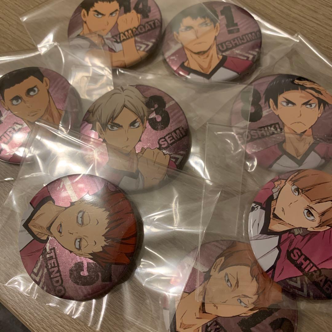 【ハイキュー】白鳥沢×8 全員集合　缶バッジコレクションlllシーズン　vs烏野