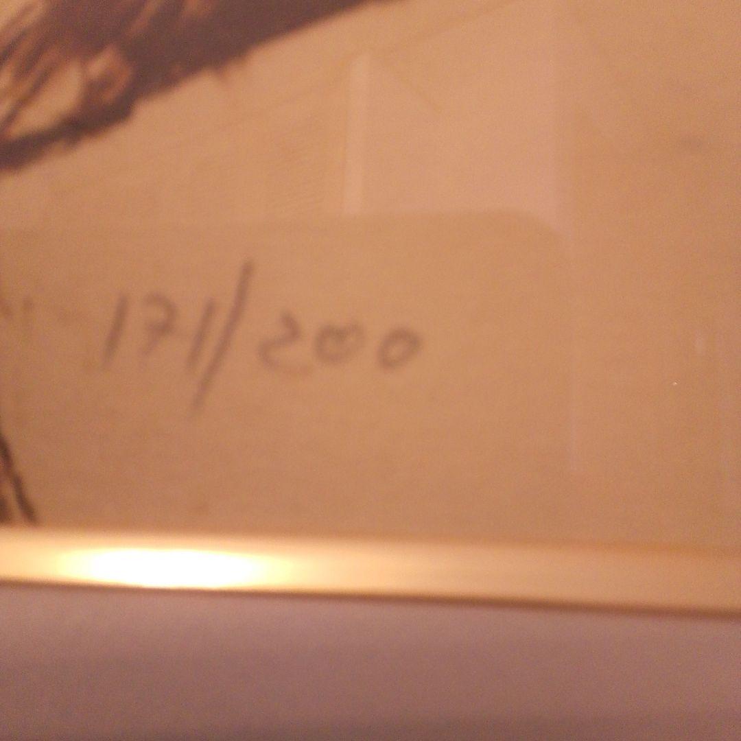 ワイズバッシュ　シリアルナンバー入　本土のみ方