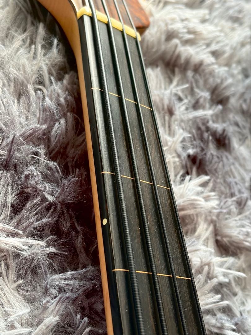 STR LS44P #435 フレットレスベース