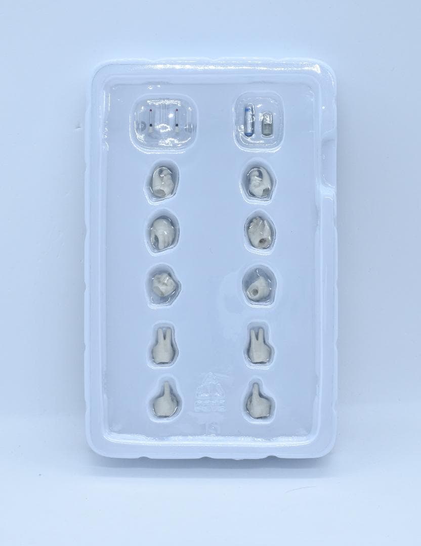 S.H.Figuarts真骨彫製法 仮面ライダーV3