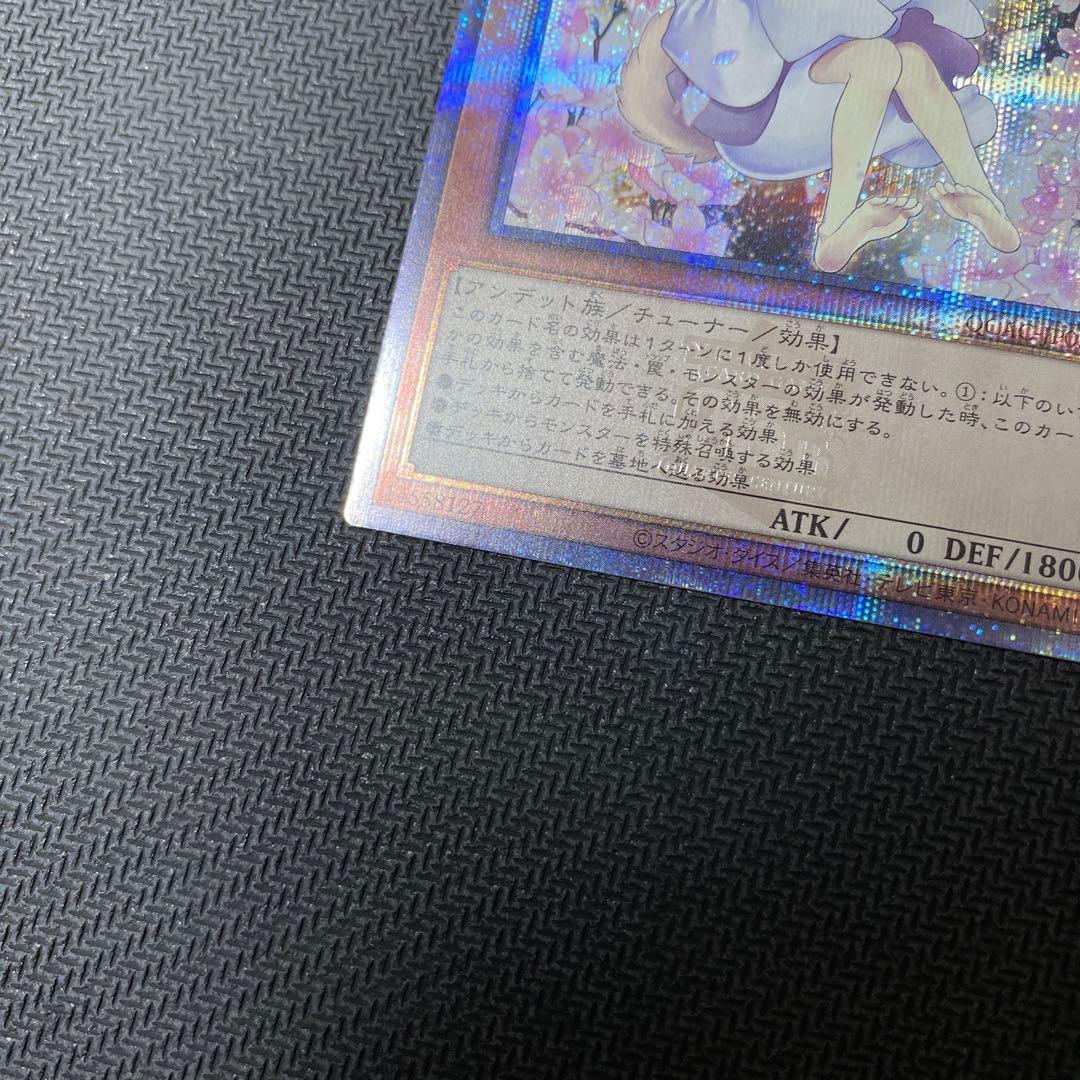 遊戯王 灰流うらら 25th シークレット　イラスト違い