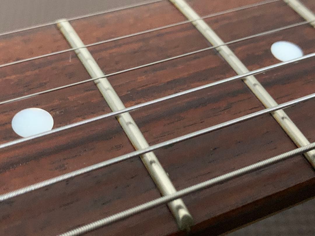 photogenic テレキャスター タイプ テレキャス サンバースト TL