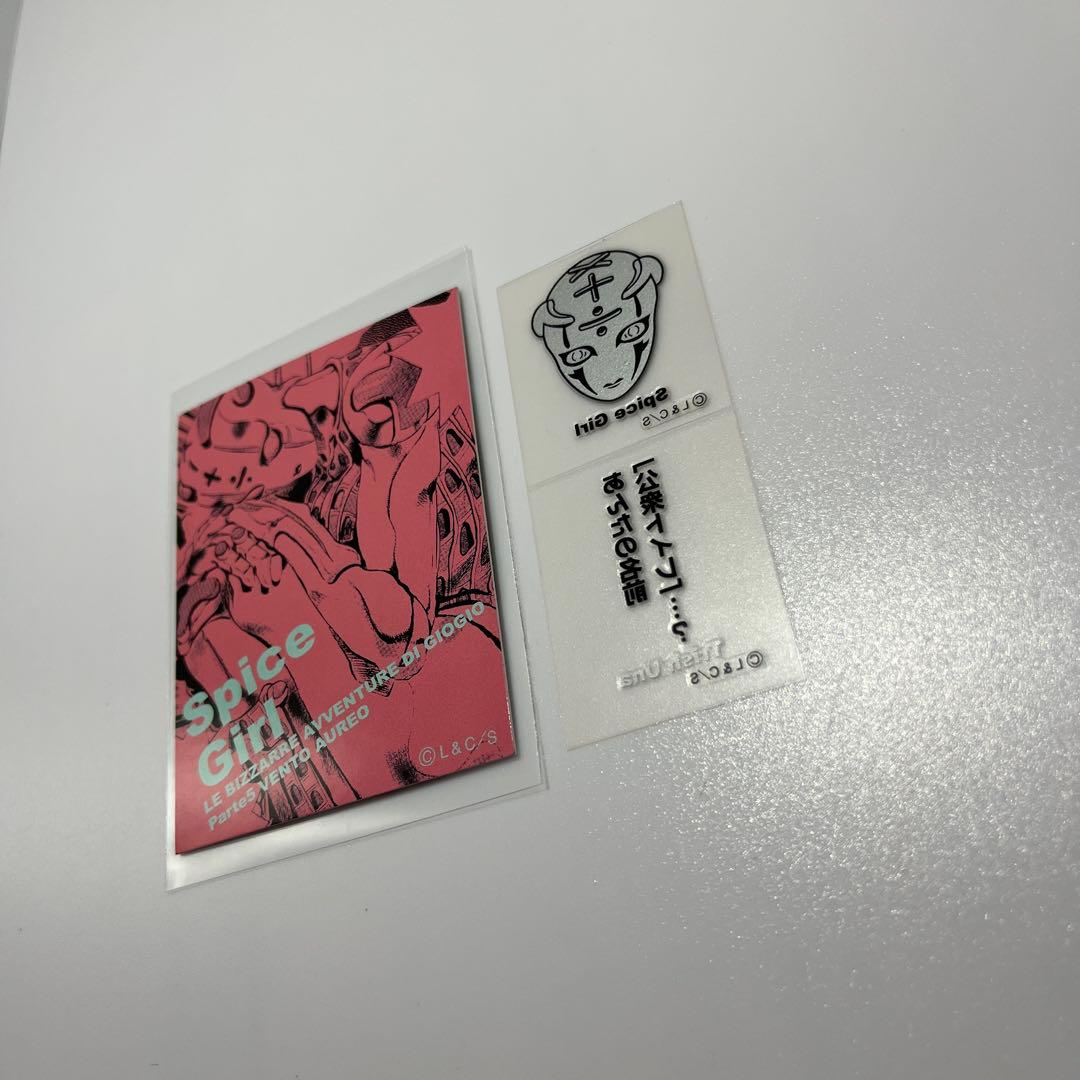 ジョジョの奇妙な冒険　リアルペイントシート 荒木飛呂彦 トリッシュ