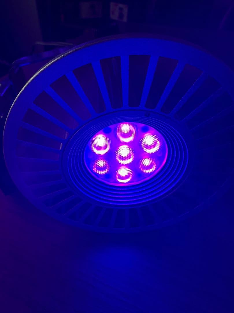 Grassy LeDio RX072e Violet グラッシーレディオ