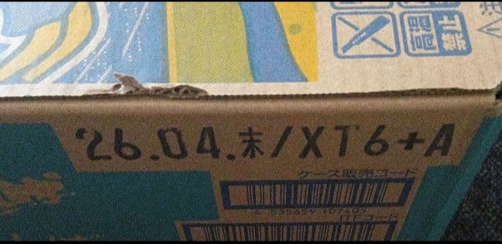 そらとしば ビール 350ml 24缶セット