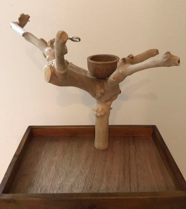 ジャワツリー　バードジム　卓上　バードスタンド　鳥　インコ