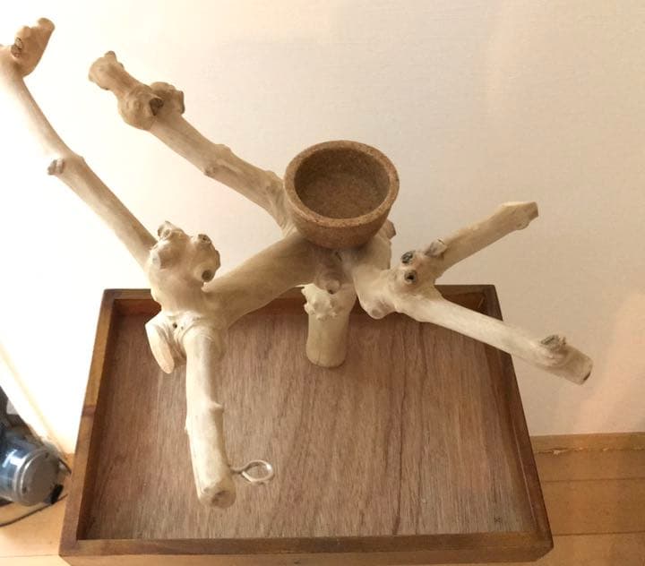 ジャワツリー　バードジム　卓上　バードスタンド　鳥　インコ