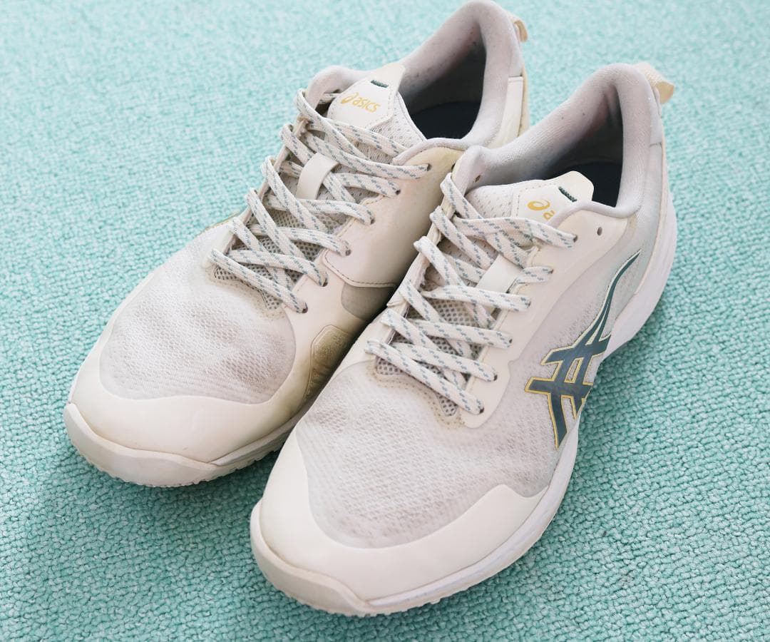 【美品】アシックス PRESTIGELYTE 5 OC 27.0cm 3E