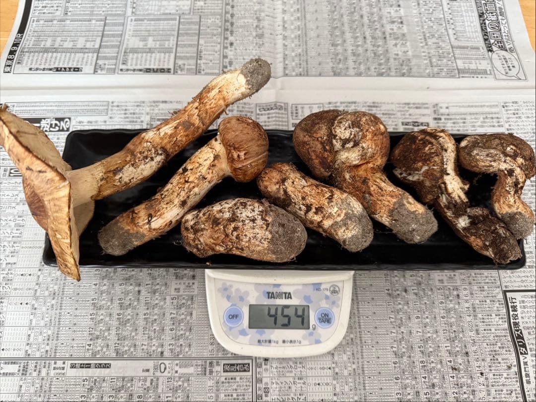 松茸　北海道　450g