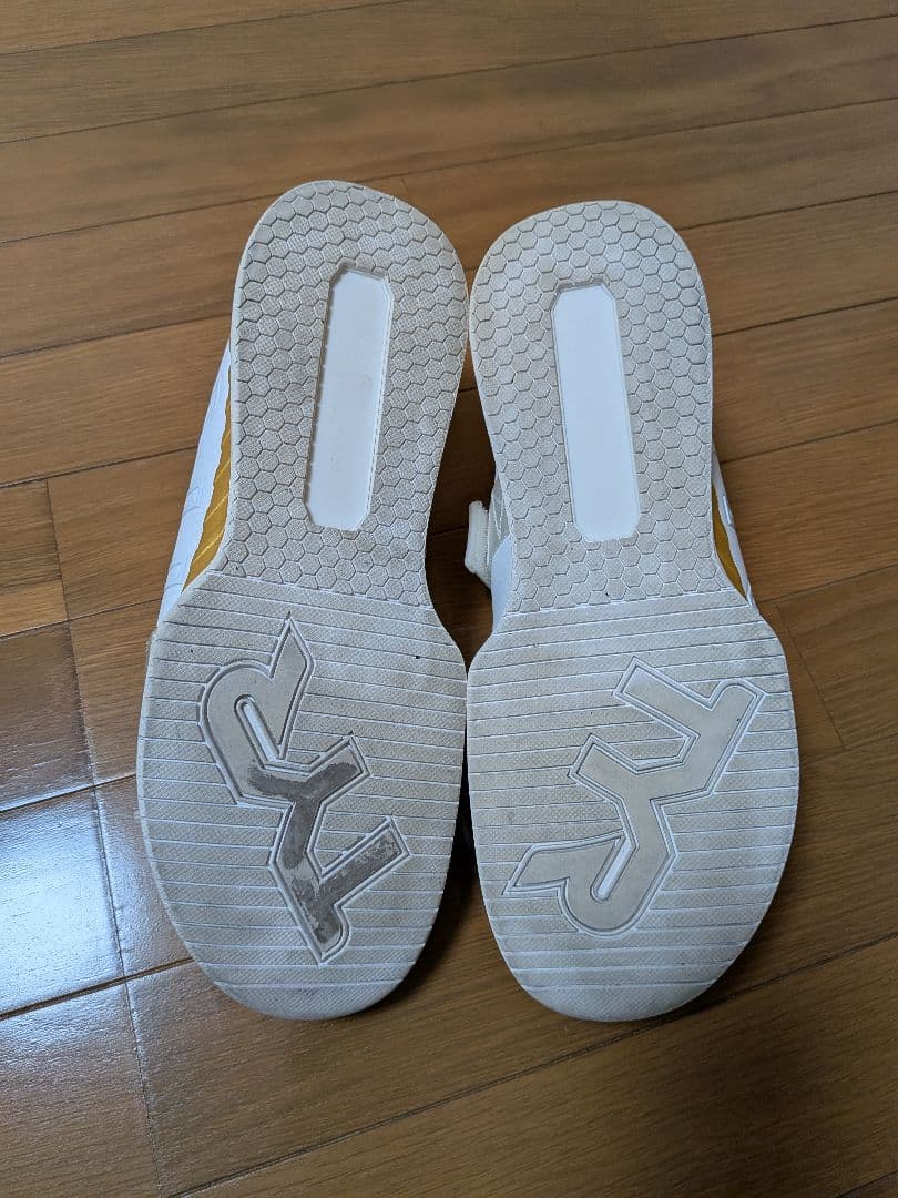 ティア　TYR　シューズ