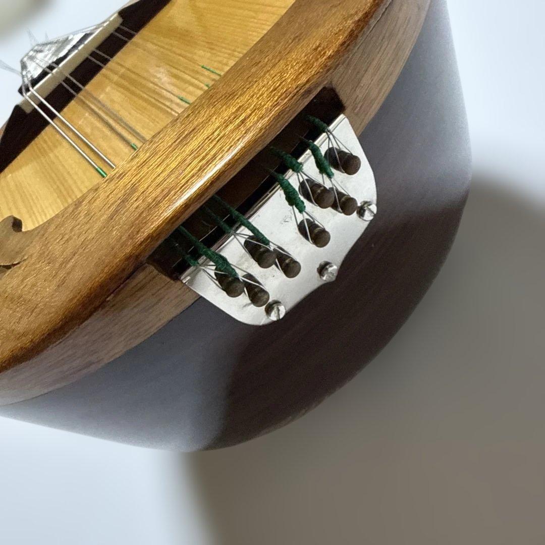 オプティマ新弦交換済 カラーチェ マンドリン type 26 ハードケース付き