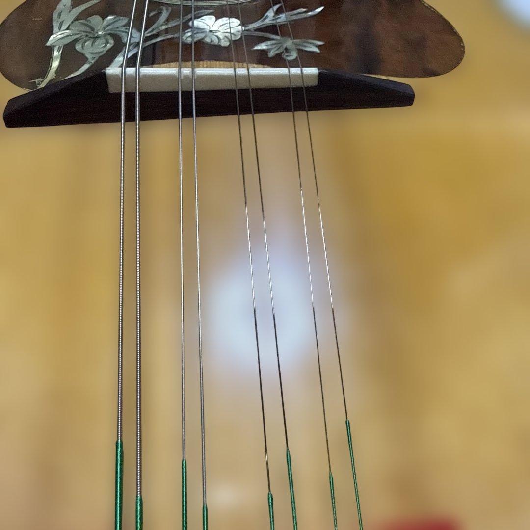 オプティマ新弦交換済 カラーチェ マンドリン type 26 ハードケース付き