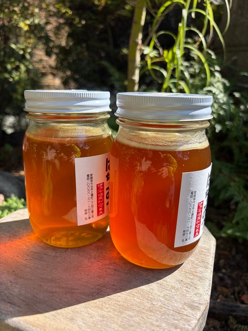はちみつ　日本蜜蜂のハチミツ　奥山の奥の蜂蜜　国産蜂蜜愛媛産　２種