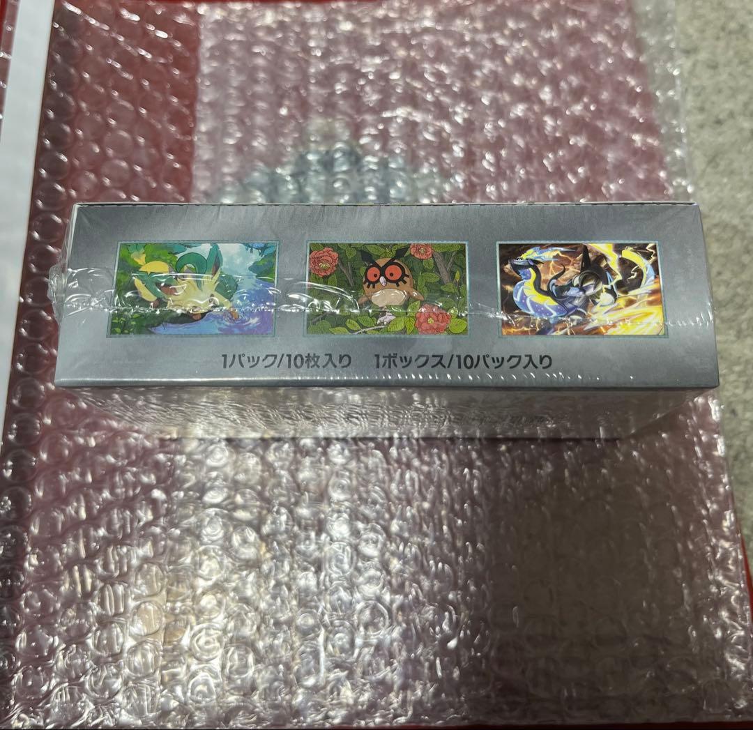 テラスタルフェスBOX＆ワンピースデイ2024