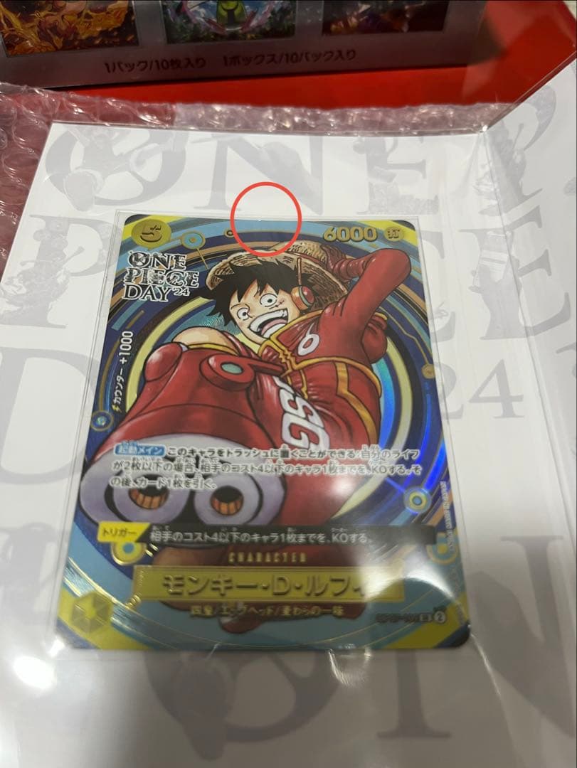 テラスタルフェスBOX＆ワンピースデイ2024