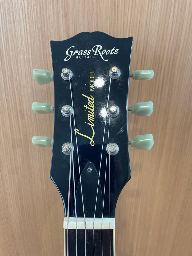 グラスルーツ　リミテッドモデル　EMGピックアップ　ソフトケース付
