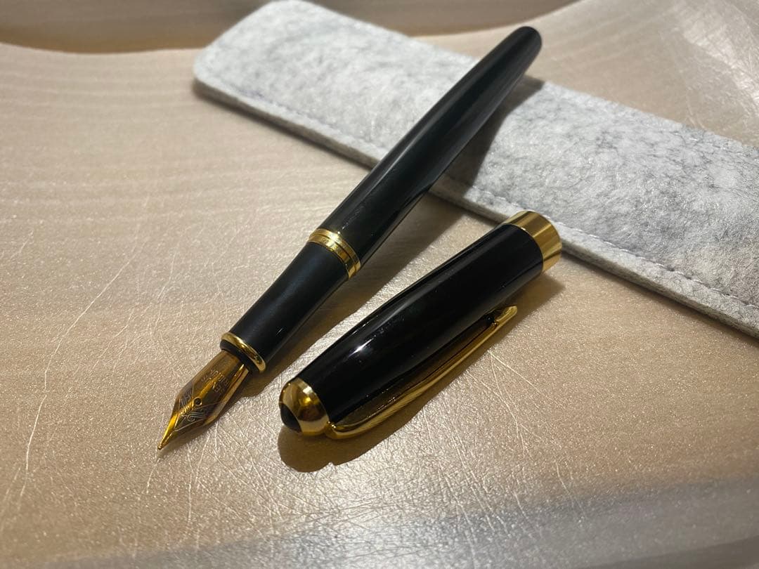 黒い万年筆 ペン先 ケース付き