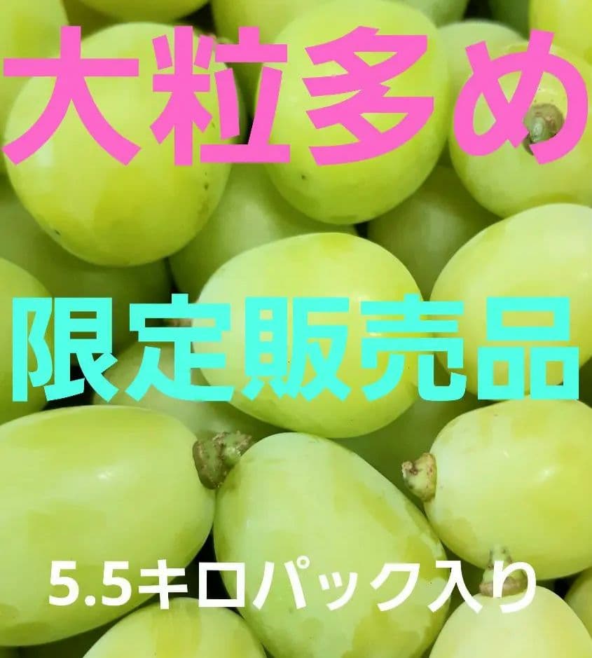 シャインマスカット増量の、大粒多め入り徳用5.5キロ粒バック入りになります。