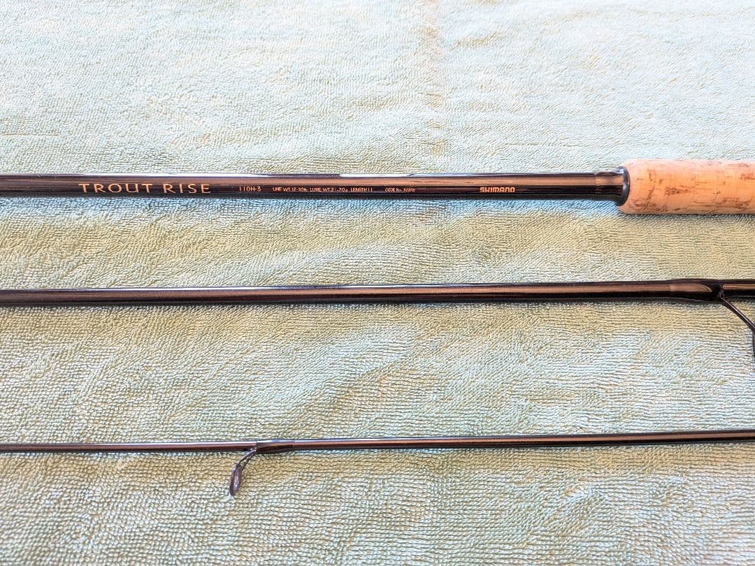 SHIMANO シマノ トラウトライズ 110H① アキアジ　鮭 シーバス