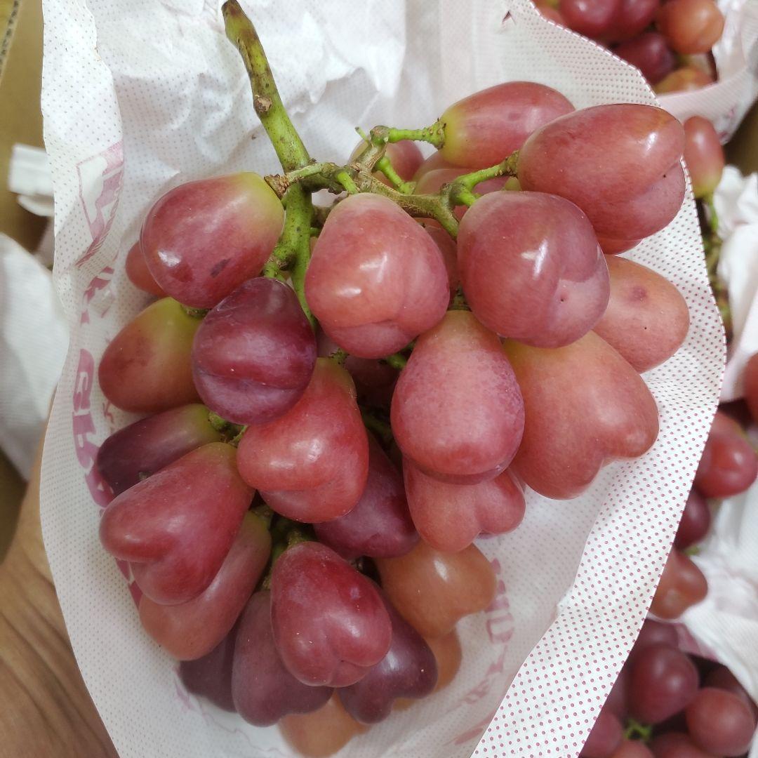 2️⃣0️⃣ 山梨県産 マイハート ９房入り 箱込み5.6キロ