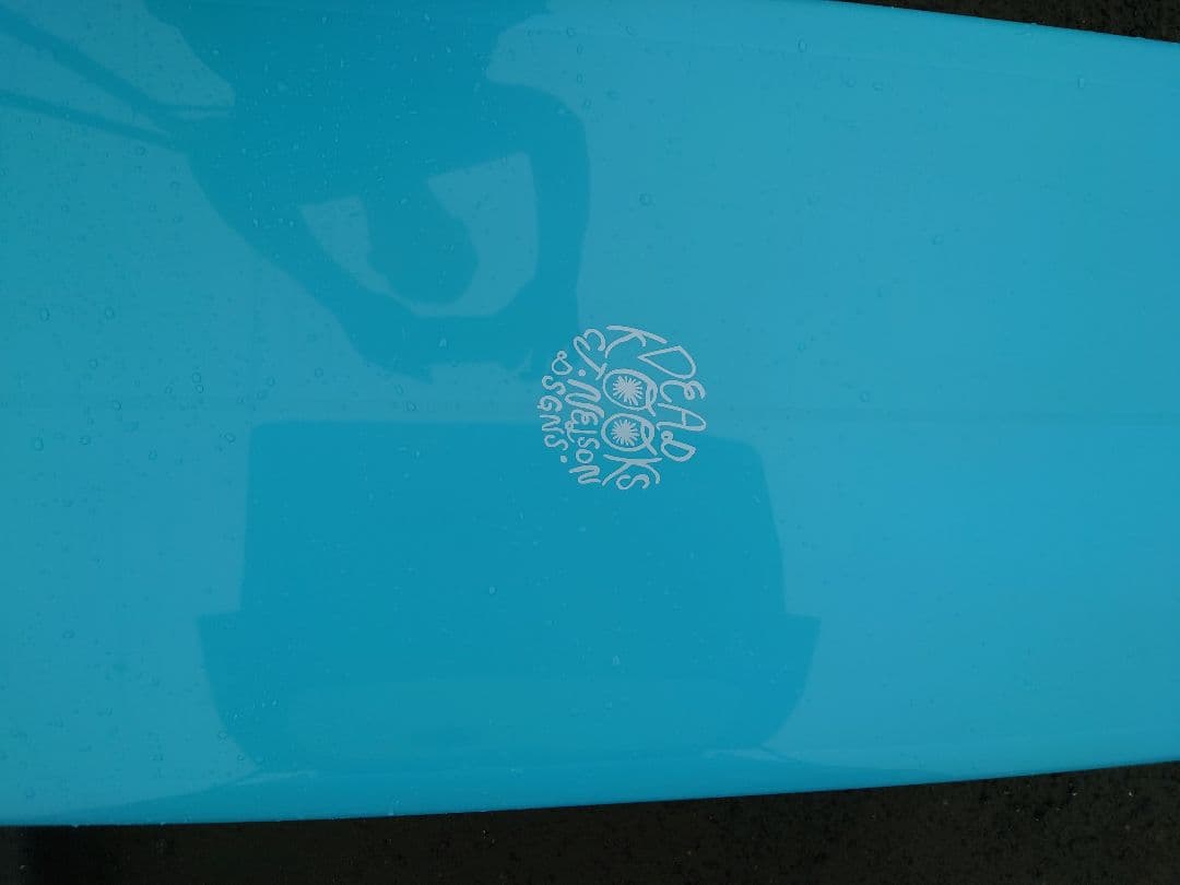 Gurrero Dead Kooks×CJ Nelson 9'11\" １回試乗