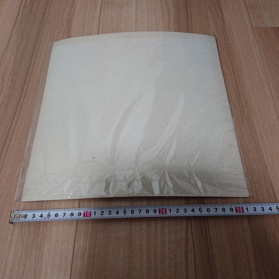 森高千里　ポートレート　大型写真