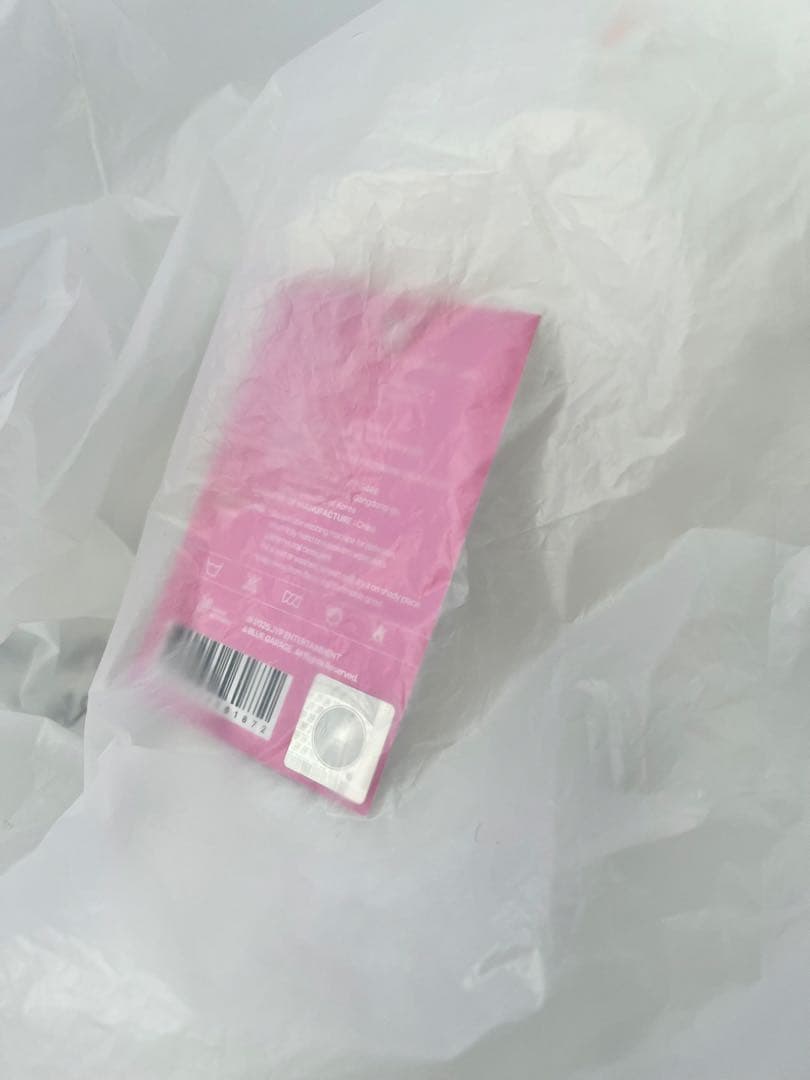 Stray Kids スキズ ジニレット テディベア ぬいぐるみ SKZOO