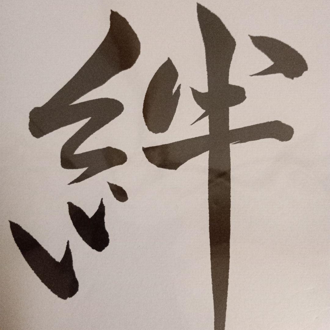 矢内理絵子女流五段 直筆揮毫色紙 サイン 絆