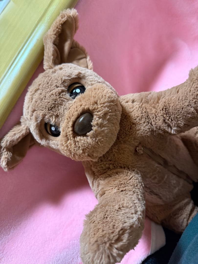 【中古♡美品】ヒーリングパートナー　Dackyダッキーバージョン２