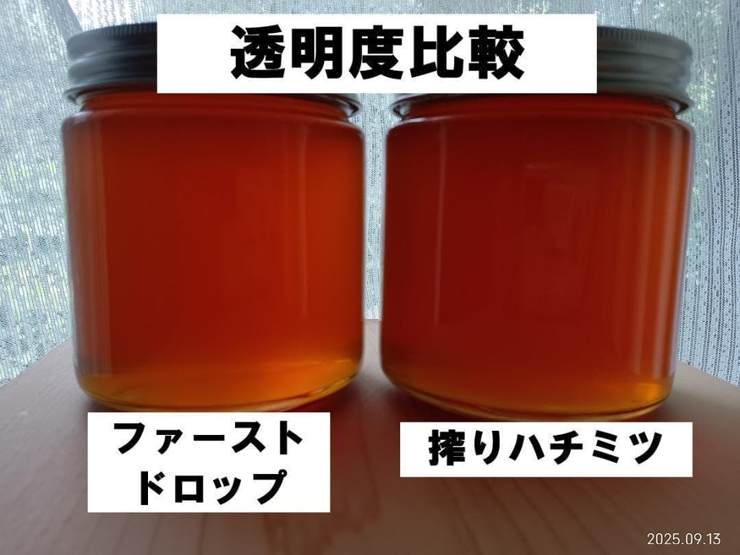 カノン二ホンミツバチの搾りハチミツ　＋　二ホンミツバチの盛り上げ巣ハチミツ