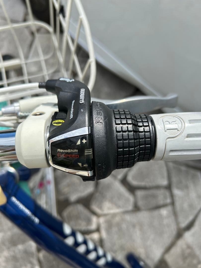 東京都大田区　ブリヂストン ワイルドベリー子供自転車 24インチ